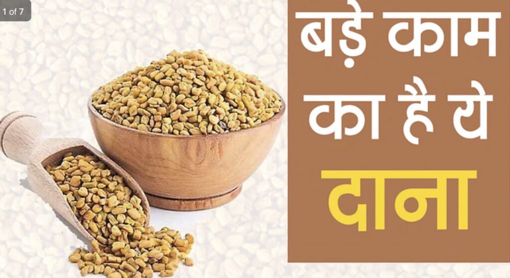 Fenugreek seeds methi Dana